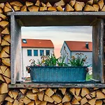Biohof Zum Grünen Baum