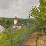 Apartamento Biohof Zum Grünen Baum