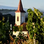 Apartamento Biohof Zum Grünen Baum