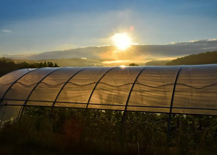 Biohof Zum Gruenen Baum Apartmán