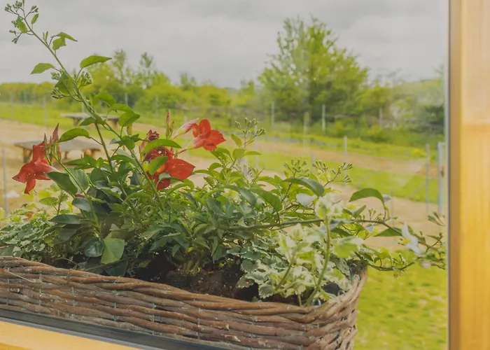 Biohof Zum Gruenen Baum