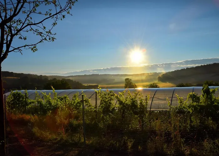 Apartmán Biohof Zum Gruenen Baum *