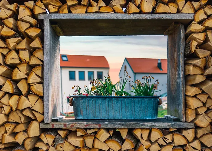 Biohof Zum Gruenen Baum