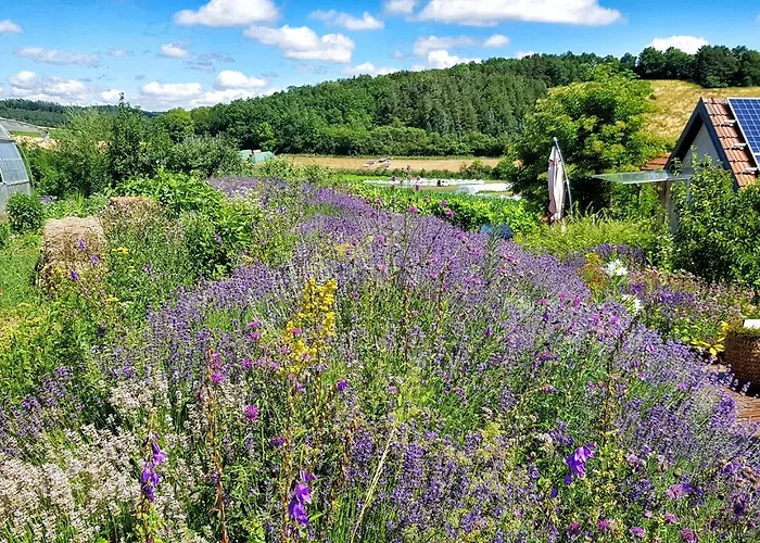 Biohof Zum Gruenen Baum Apartmán *