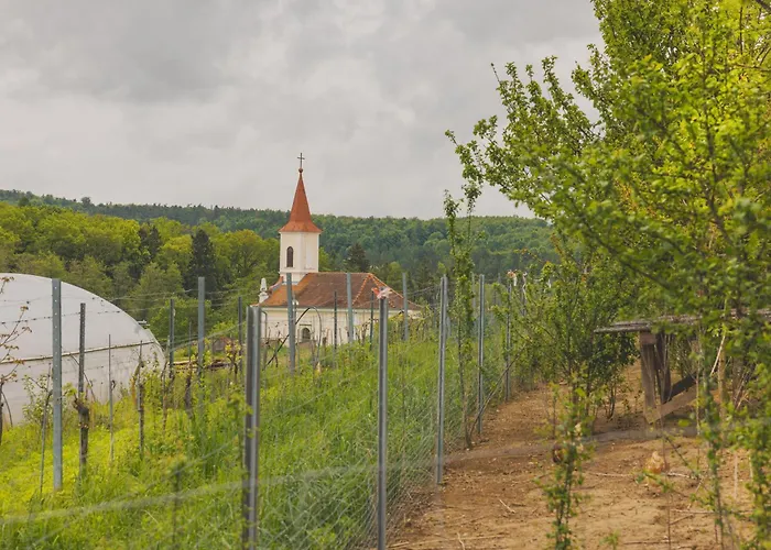 Apartmán Biohof Zum Gruenen Baum