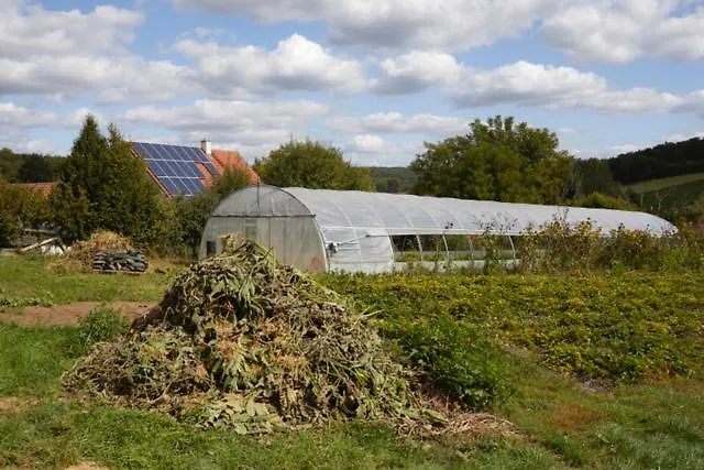 Apartmán Biohof Zum Gruenen Baum Porrau